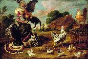 Paul de Vos The fight between a turkey and a rooster. USA oil painting artist